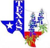 bluebonnet